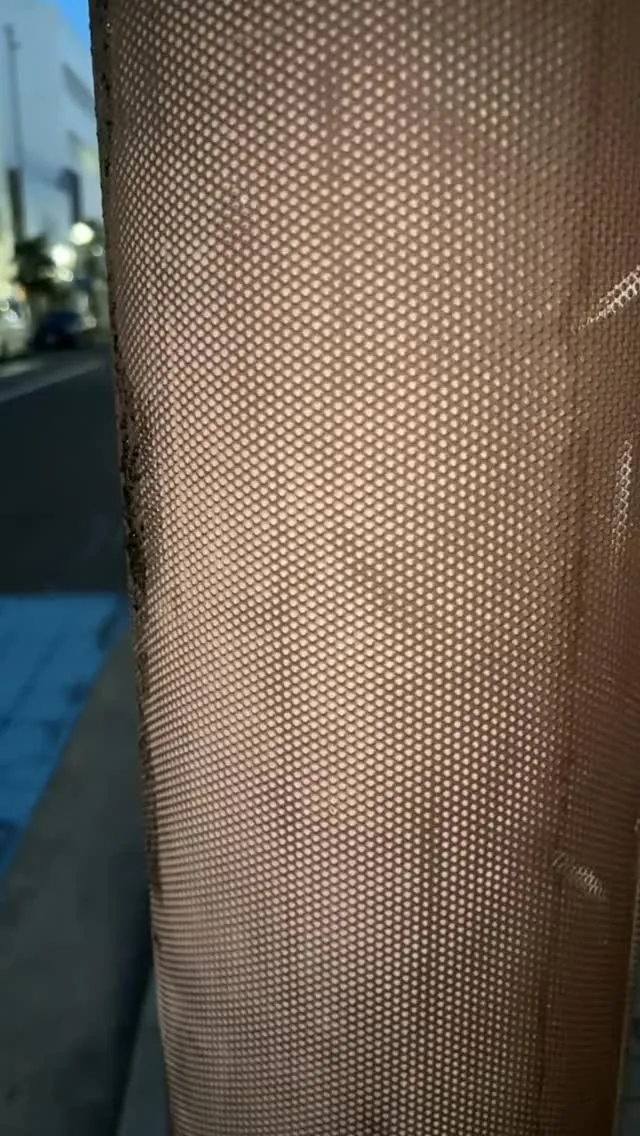本日お席空いておりまっちょ！